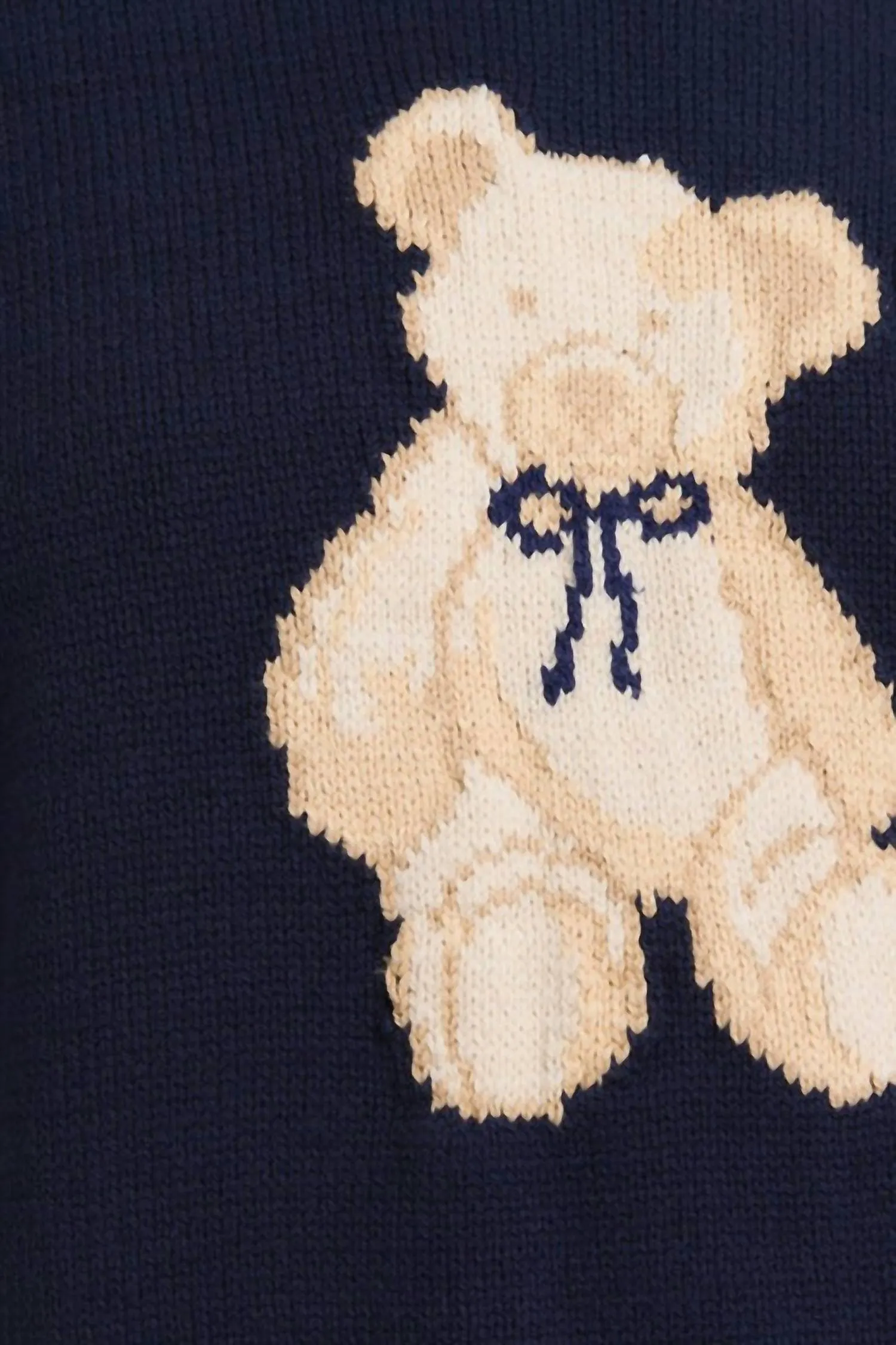 Bear Necessities Teddy Sweater In Navy