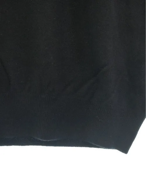 AURALEE Sweaters