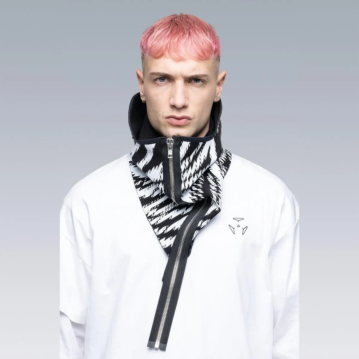 NG4-PS 'Zebra'