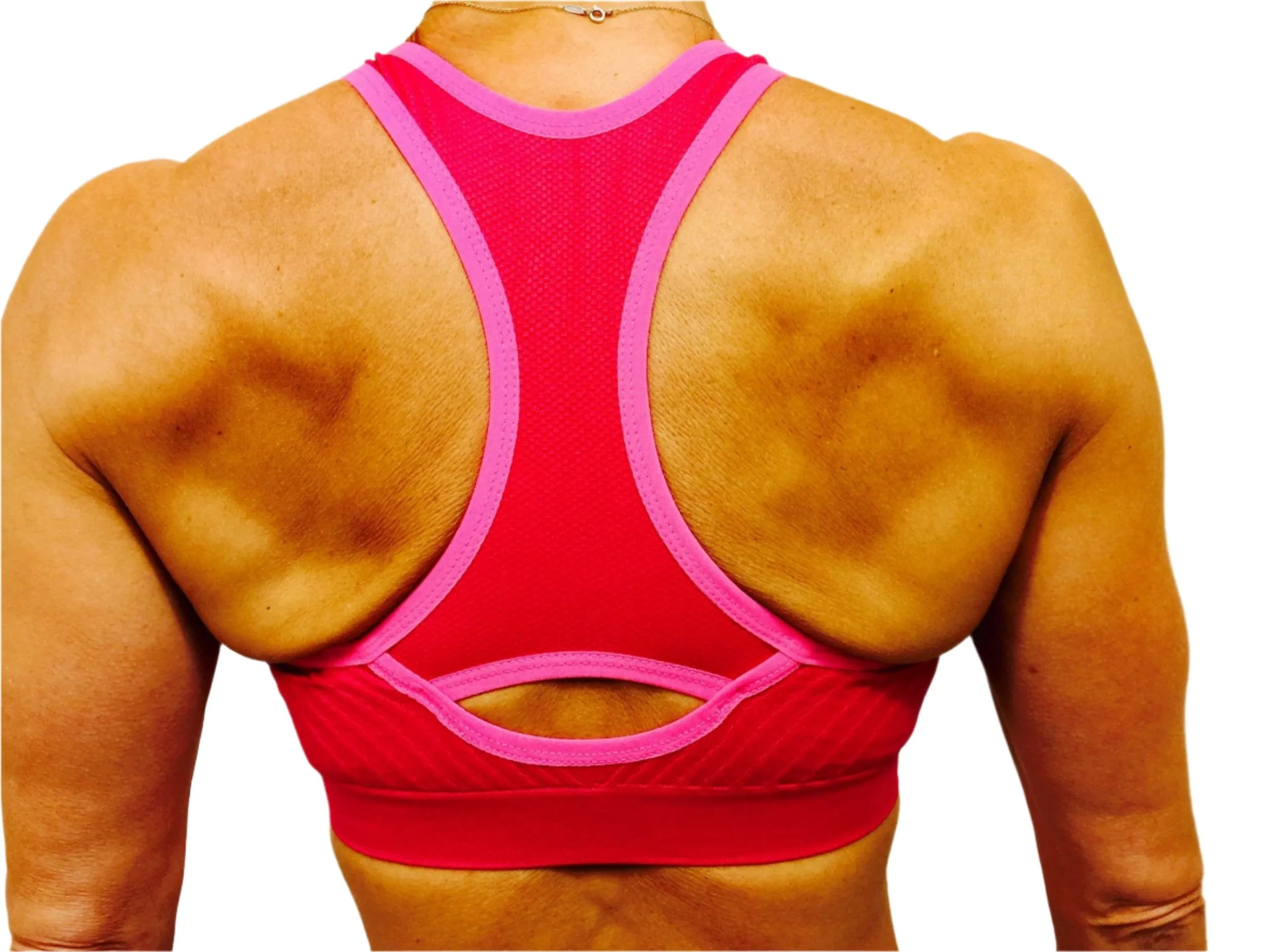 XOXO Racer Back Seamless Sports Bra